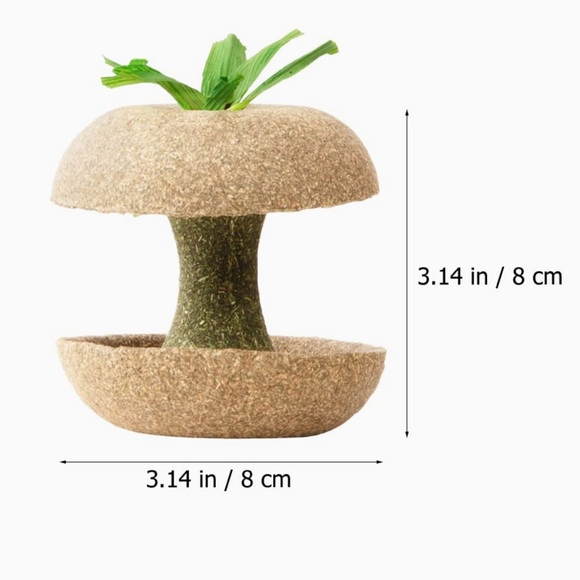 Small Animal Chew Toy Apple - New - Picture 3 of 3